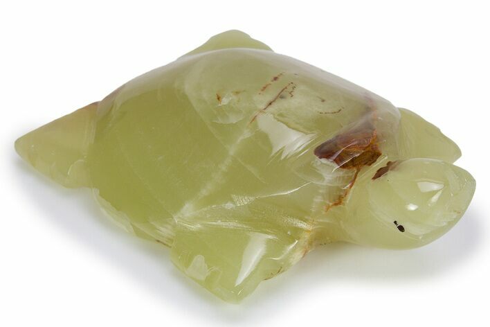 Carved Green Banded Calcite Turtle - Pakistan #301365